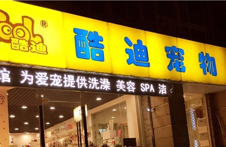 酷迪宠物加盟条件是什么？有什么要求？