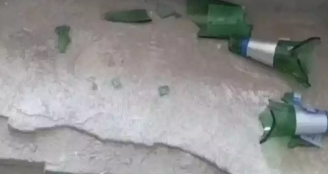 泰迪未栓绳女孩受惊吓，母亲骂谁家鳖孙狗遭殴打，警方：打人者拘留
