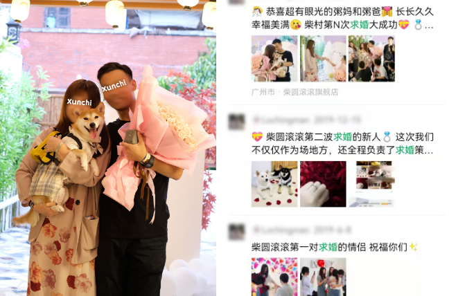 治愈无数广州人的柴犬体验餐厅，快被疫情打倒了