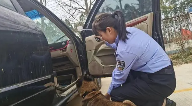 警犬与警花并肩作战,都很“猛”! 警犬与警花并肩作战,都很“猛”!
