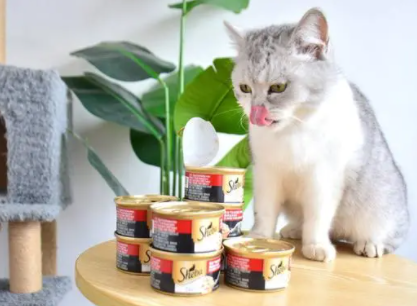 希宝猫罐头,滴滴鲜浓,忍不住地舔食诱惑 希宝猫罐头,滴滴鲜浓,忍不住地舔食诱惑