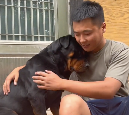 网友想要哄生气的狗狗,它把头靠在主人的肩膀上撒娇 网友想要哄生气的狗狗,它把头靠在主人的肩膀上撒娇