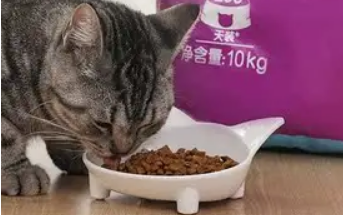 kingjerry猫粮品质如何？来看看吧！