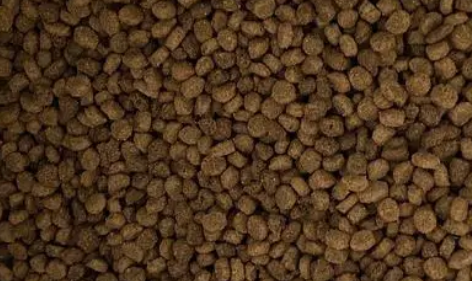 够派猫粮：科学喂食指南