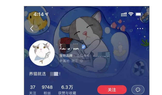 宠物品牌如何在小红书上进行营销，抓住「养宠人」的心？