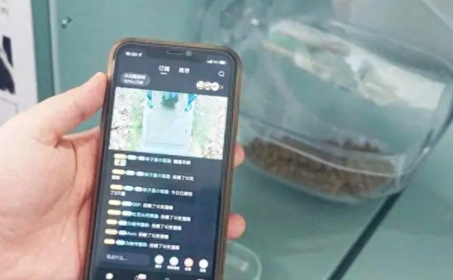科技赋能爱心猫屋,“街猫”破解流浪猫管理难题 科技赋能爱心猫屋,“街猫”破解流浪猫管理难题