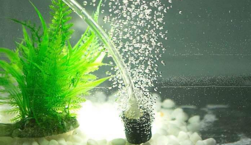 如何手动给水里氧气