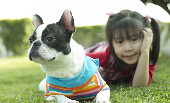 爱与陪伴和宅犬扰邻 上班族养狗难题怎么破 爱与陪伴和宅犬扰邻 上班族养狗难题怎么破