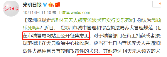 超14天无人领养流浪犬就要实行安乐死,你们支持吗?