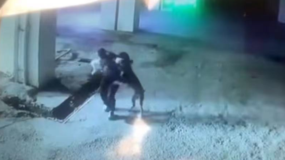 奶奶抱1岁男童被恶犬撕咬,家属:老人或终身残疾,当地警方回应 奶奶抱1岁男童被恶犬撕咬,家属:老人或终身残疾,当地警方回应