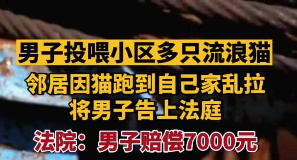 喂养流浪猫引发邻里纠纷 法院判投喂者赔偿邻居