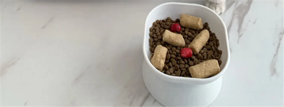 肉活力猫粮的特点与优势 | 提升猫崽崽的健康活力 肉活力猫粮的特点与优势 | 提升猫崽崽的健康活力