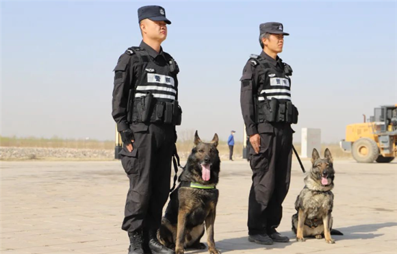 警营故事 | 我的警犬兄弟“巴依” 警营故事 | 我的警犬兄弟“巴依”