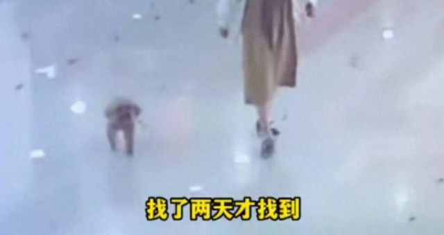 11岁女孩将宠物狗偷走并掰断下颚