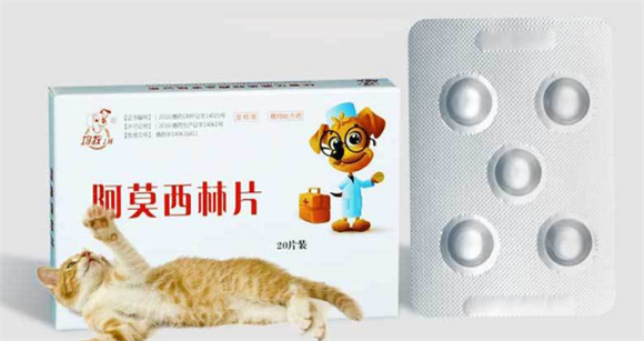 宠物阿莫西林的作用功效