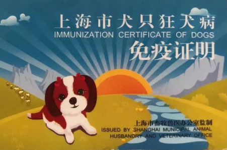 买到无免疫证明的"星期犬"?法院:存在欺诈,退一赔三 买到无免疫证明的"星期犬"?法院:存在欺诈,退一赔三