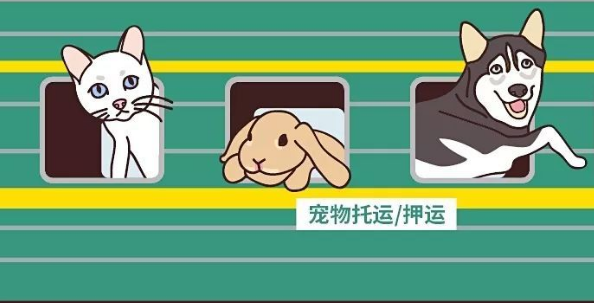 火车能带宠物吗 火车能带宠物吗