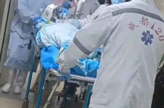 全网关注!成都两狗主人均到案 全网关注!成都两狗主人均到案