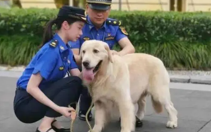 《福州市城市养犬管理条例》获批通过