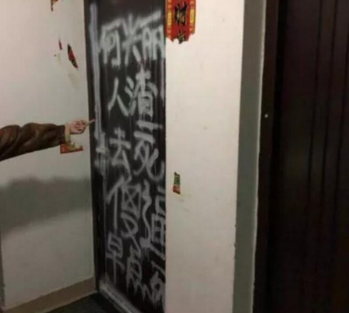 柯基犬之死丨“摔狗者”何兴丽:我和她,没有赢家 柯基犬之死丨“摔狗者”何兴丽:我和她,没有赢家