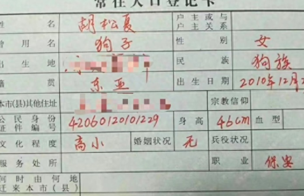 把狗写在户口本上？应科学面对伴侣动物的议题