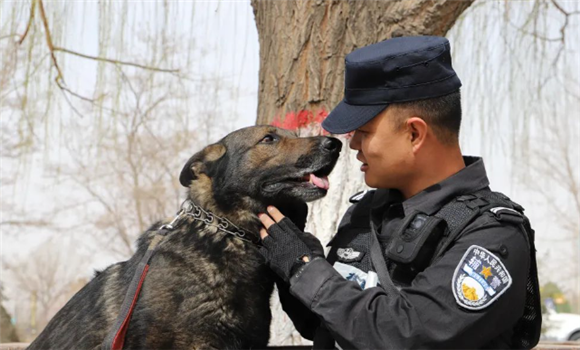 警营故事 | 我的警犬兄弟“巴依” 警营故事 | 我的警犬兄弟“巴依”
