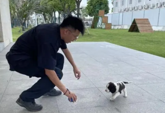 警犬冷知识：缉毒犬养成手册