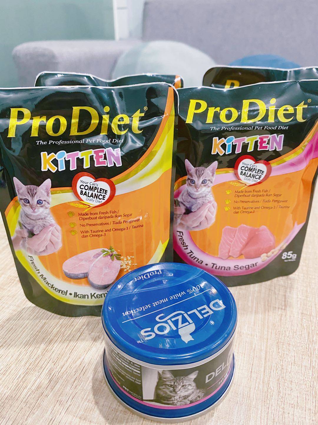 ProDiet博黛：教你如何拥有一只同款“喵室友”