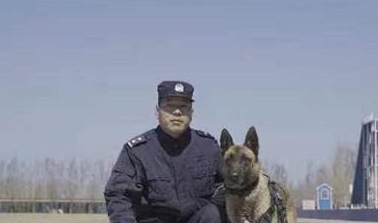 “青铜”变“汪者”!冰城警犬“太极”“嗨畏”被评为功勋犬 “青铜”变“汪者”!冰城警犬“太极”“嗨畏”被评为功勋犬