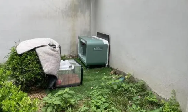 “智能猫屋”引争议,“数字化管理流浪猫”噱头大于实质? “智能猫屋”引争议,“数字化管理流浪猫”噱头大于实质?