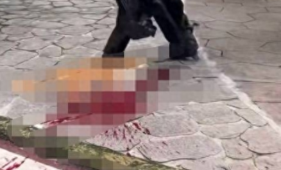 小区物业当众打死流浪狗引争议 目击业主：小狗被驱赶后才咬人，物业行为过于粗暴