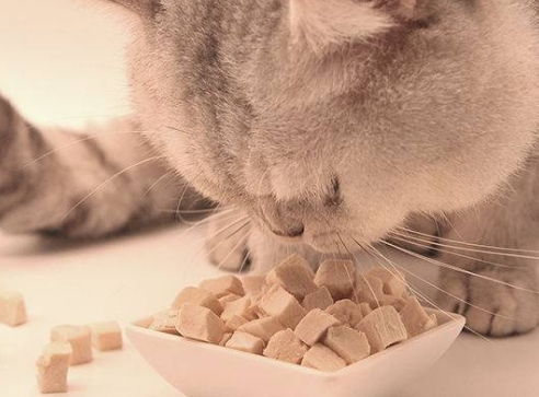 喵哇宠物零食怎么样 喵哇宠物零食怎么样