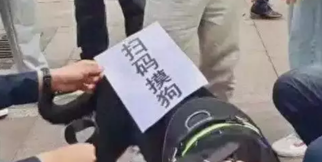 深圳街头有警犬“劝诫顾客”，网友：做生意狗不容易啊哈哈哈！