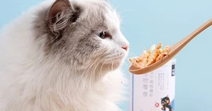 猫咪吃什么?盼斯兔零食冻干了解一下! 猫咪吃什么?盼斯兔零食冻干了解一下!