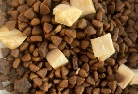 纽贝恩猫粮是烘焙粮吗 纽贝恩猫粮是烘焙粮吗