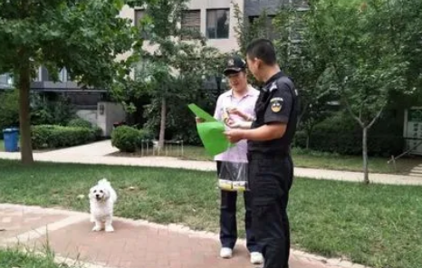 爱与陪伴和宅犬扰邻 上班族养狗难题怎么破 爱与陪伴和宅犬扰邻 上班族养狗难题怎么破