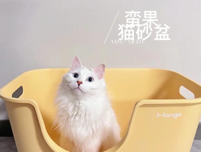 蛮果宠物mango猫砂盆好吗 蛮果宠物mango猫砂盆好吗