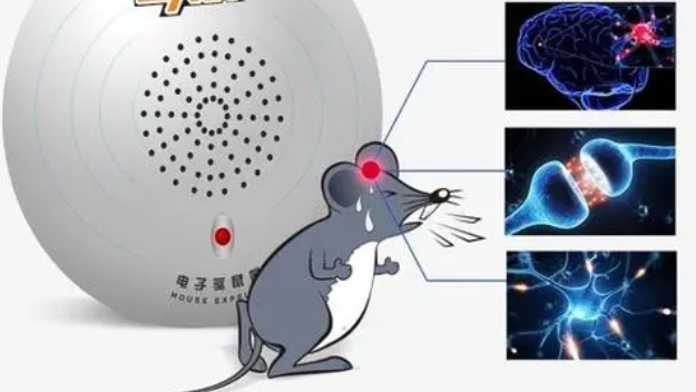 超声波驱鼠器真的有用吗 超声波驱鼠器真的有用吗