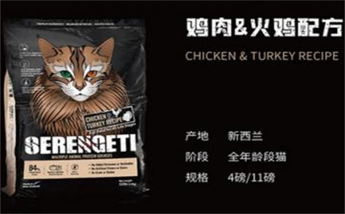 艾洛蒂