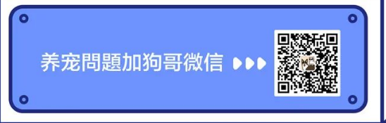 鲜朗真的鲜起来了，还自建工厂做出了0肉粉鱼肉粮