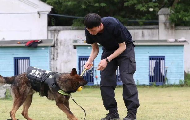 七旬老人留下遗书后消失在深山 合肥警方“硬核”找人 七旬老人留下遗书后消失在深山 合肥警方“硬核”找人