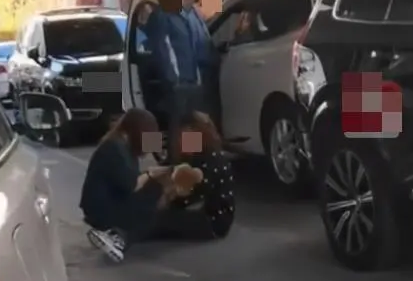 遛狗不拴绳致狗被车压死，女子狂扇自己脸部坐地大哭