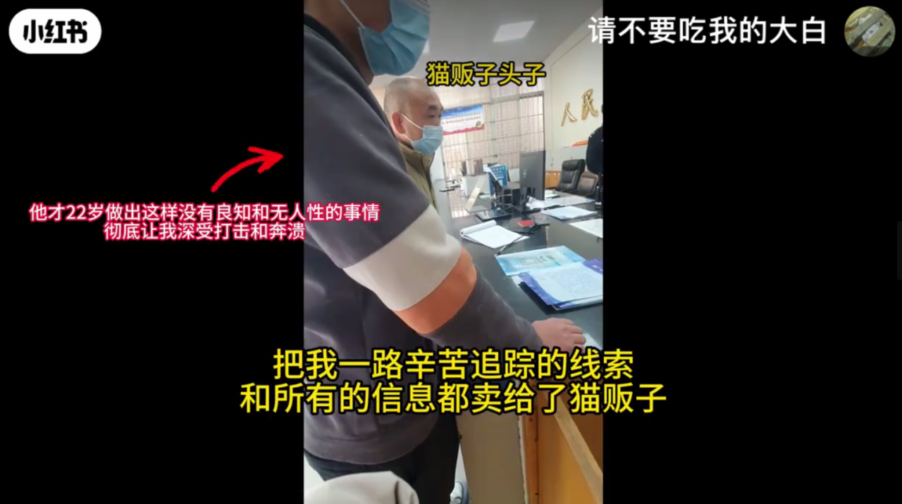 “请不要吃我的猫”:为了救猫,她成了“偷猫宰猫黑产”最怕的女人 “请不要吃我的猫”:为了救猫,她成了“偷猫宰猫黑产”最怕的女人