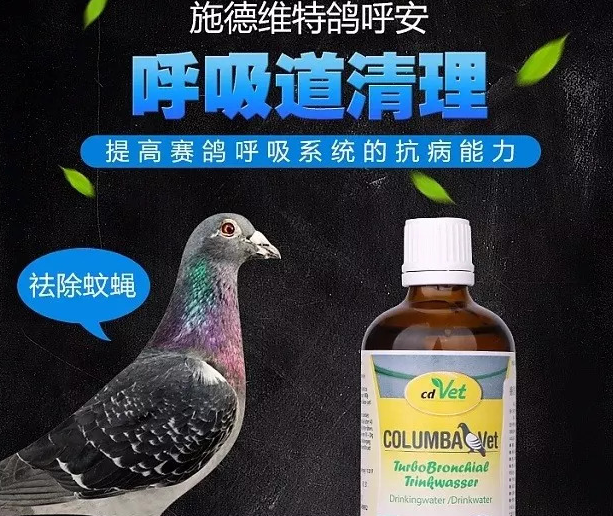 秋赛防降温必备:多种草本植物精油赛鸽呼吸道清理剂 秋赛防降温必备:多种草本植物精油赛鸽呼吸道清理剂