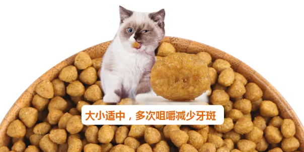 湿鼻子猫粮咋样啊？