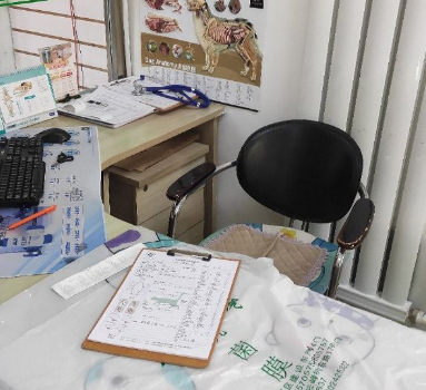 云峰宠物医院带你了解3个常见套路,特别是最后1个要注意 云峰宠物医院带你了解3个常见套路,特别是最后1个要注意