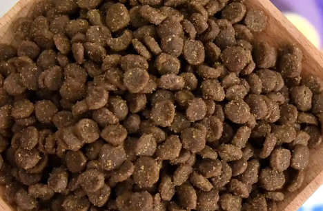 元气物语猫粮:独特的烘焙粮,为猫咪提供更健康的选择 元气物语猫粮:独特的烘焙粮,为猫咪提供更健康的选择