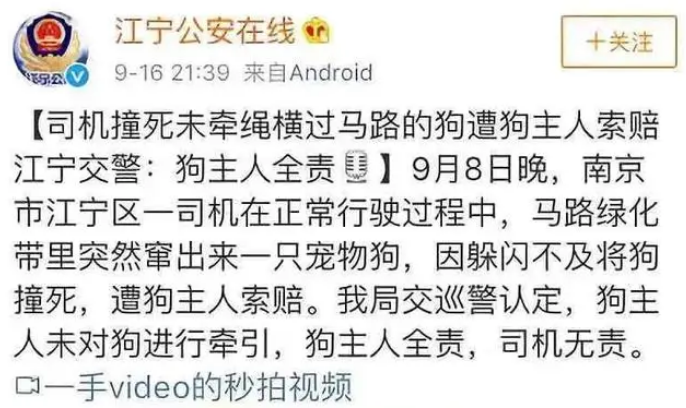 事发浙江!宠物狗冲上马路被车撞死,狗主人索赔1万!交警这样定责 事发浙江!宠物狗冲上马路被车撞死,狗主人索赔1万!交警这样定责