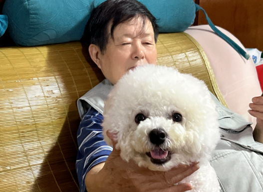 一只比熊犬在上海独自隔离的19天