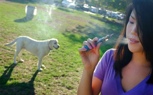 烟草对狗狗伤害比人大，患癌风险会增加，为了你和狗狗健康请戒烟